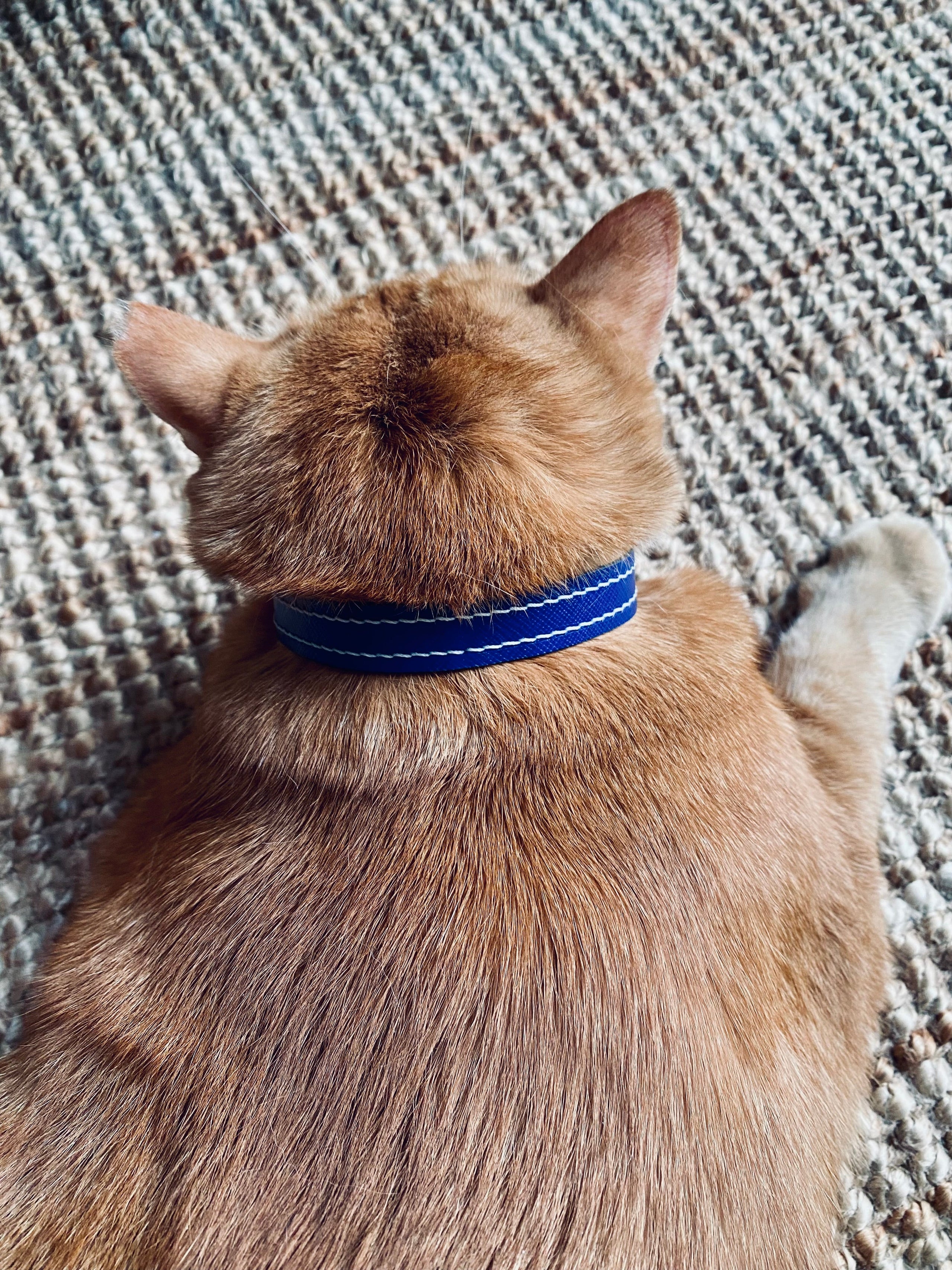 Leopold Meowington